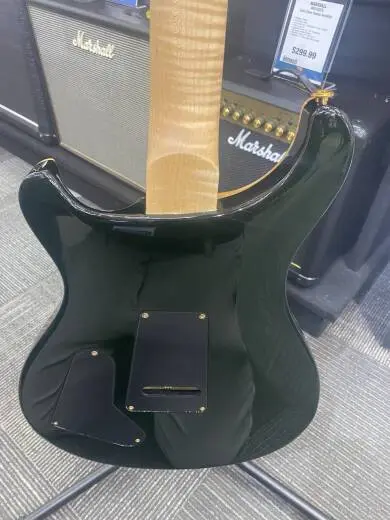 PRS - CUSTOM 22 ARTIST PACKAGE 2