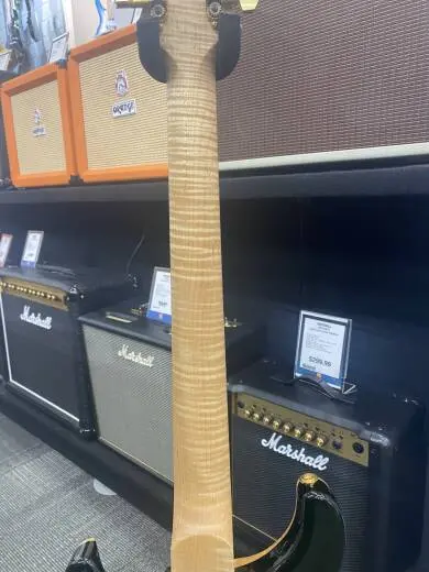 PRS - CUSTOM 22 ARTIST PACKAGE 2