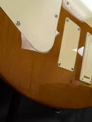 Epiphone - Alex Lifeson Axcess - Viceroy Brown 2