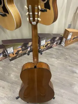 Epiphone - EAPCANCH 2
