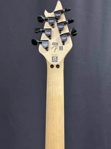 EVH - Wolfgang Special - Miami Blue 2