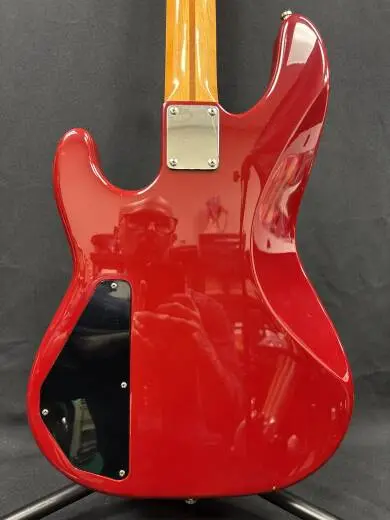 Fender Cowpoke Precision Bass Special 2