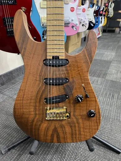 EVH - 510-7900-576 2