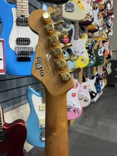 EVH - 510-7900-576 2