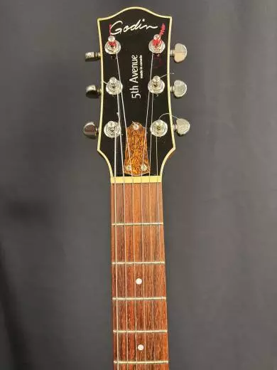 Godin Guitars - 5th Avenue CW Kingpin 2
