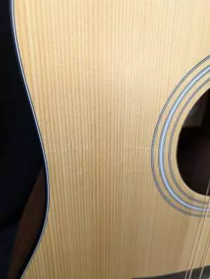 Taylor Guitars - 150E W V2 2