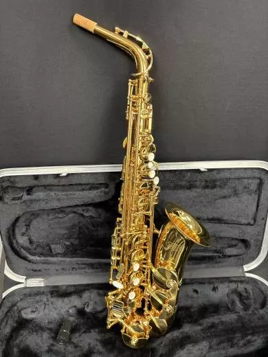 Carlton - CAS100 Alto Saxophone 2