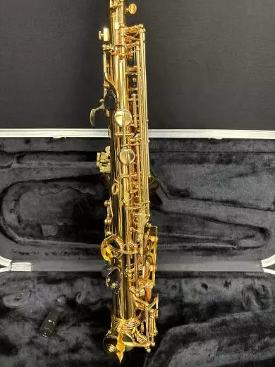 Carlton - CAS100 Alto Saxophone 2