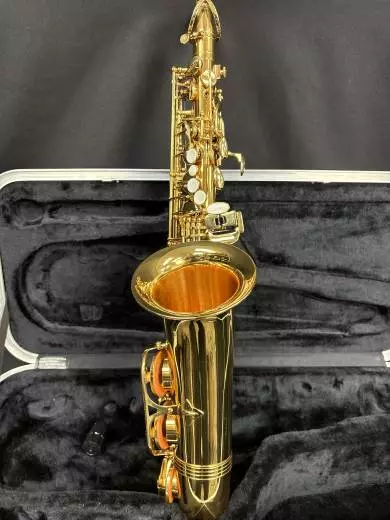 Carlton - CAS100 Alto Saxophone 2
