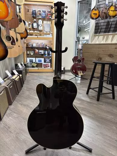 Gibson - MCSBLPPVS 2