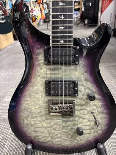 PRS SE - 100475:HB 2