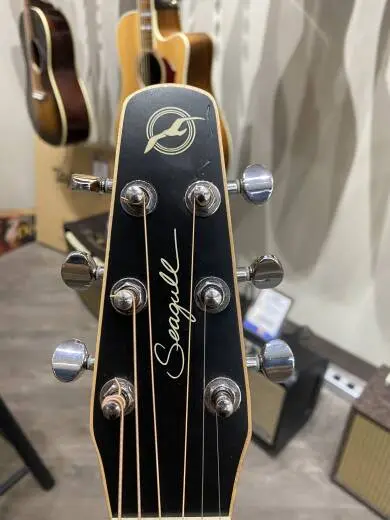 Seagull Guitars - S29822 2