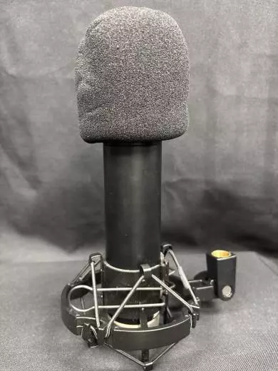 Store Special Product - Apex - 460B Multipattern Tube Condenser Microphone