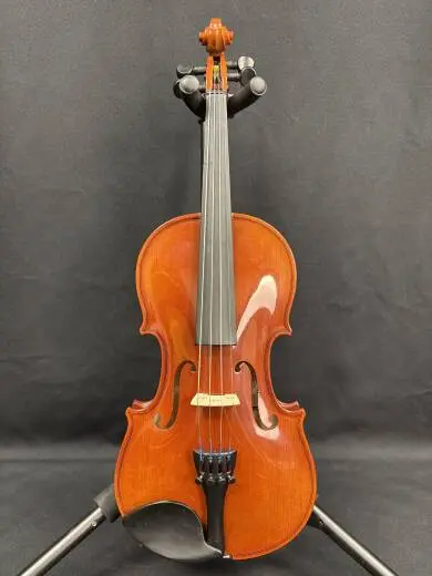 SCHOENBACH - 220 1/2 VIOLIN OUTFIT