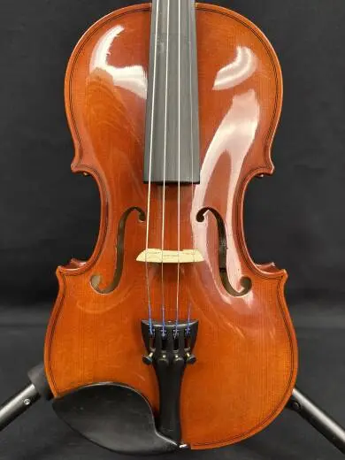 SCHOENBACH - 220 1/2 VIOLIN OUTFIT 2