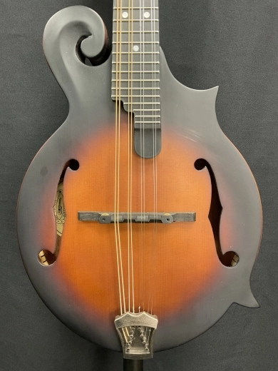 Washburn M108 Mandolin 2