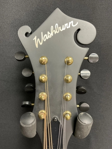 Washburn M108 Mandolin 3