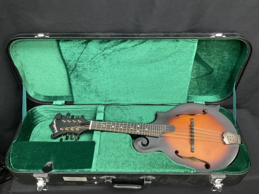 Washburn M108 Mandolin 7