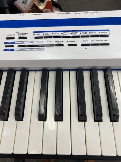 CASIO PRIVIA PRO 2
