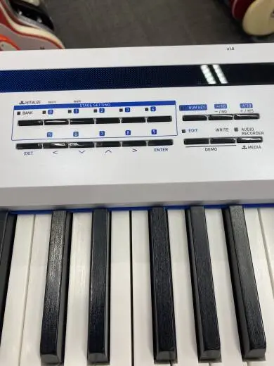 CASIO PRIVIA PRO 2