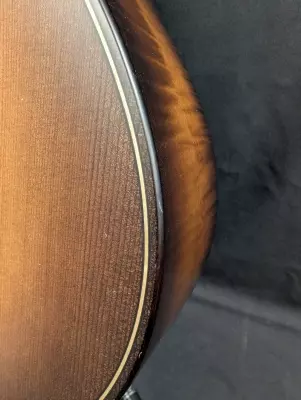 Taylor Guitars - 652CE B.E. WHB 3