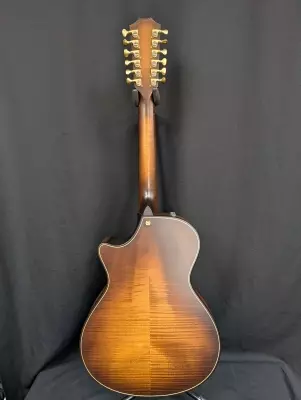 Taylor Guitars - 652CE B.E. WHB 5