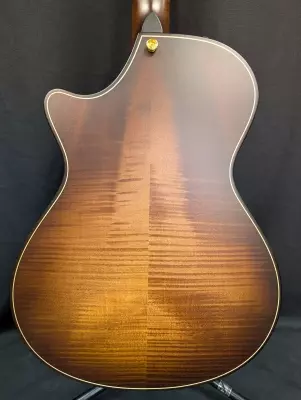 Taylor Guitars - 652CE B.E. WHB 6