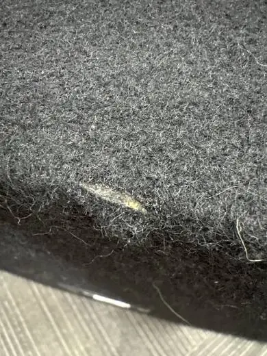 Peavey - TSL2 Passive Speaker Cabinet 2