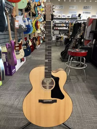 Gibson - ACG20ANNH
