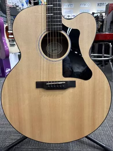 Gibson - ACG20ANNH 2