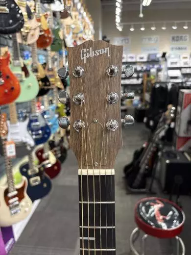 Gibson - ACG20ANNH 2