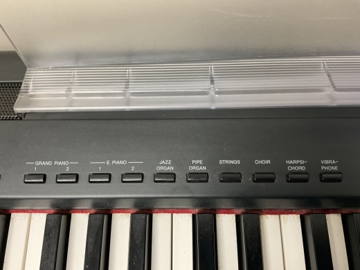 Gear Hunter | Yamaha - P95 B