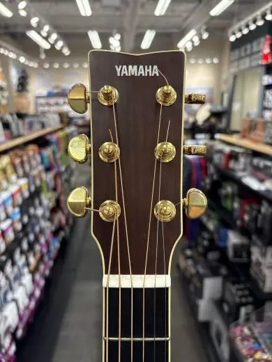 Store Special Product - Yamaha - LL16ARE