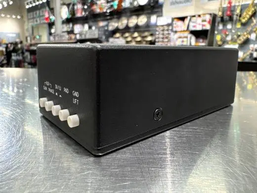 Walrus Audio - CANVAS STEREO 2