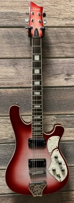 Schecter Stargazer