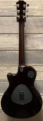 Taylor Guitars - T5Z PRO TS 4
