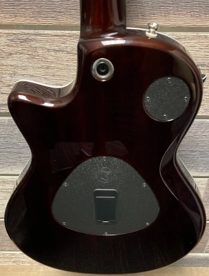 Taylor Guitars - T5Z PRO TS 2