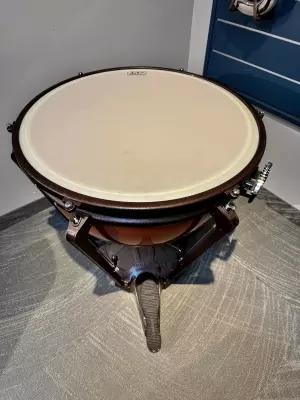 ADAMS 29
