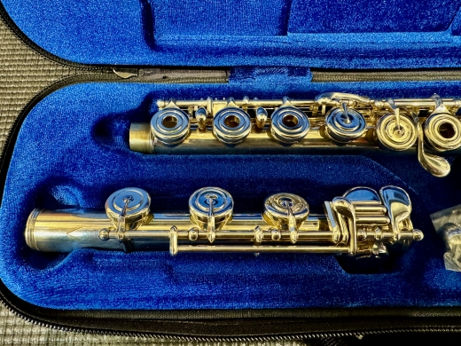Store Special Product - Amadeus Flutes - AF680-BO