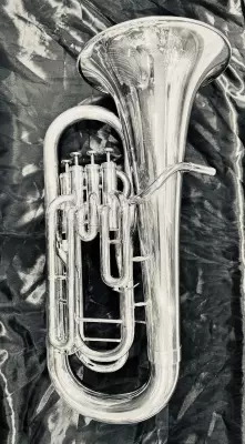 WERIL-H890 EUPHONIUM