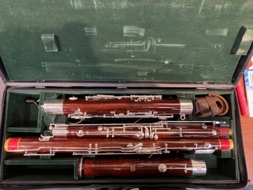 Fox - Renard Artist Bassoon 2