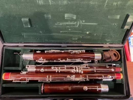 Fox - Renard Artist Bassoon 2