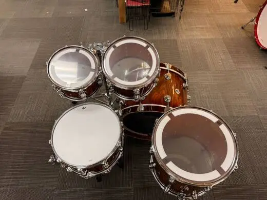 DW Collectors Cherry Purplecore Exotic 2