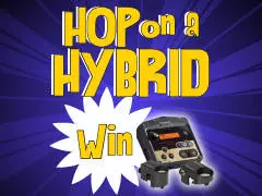 CONTEST: Hop on a Hybrid - Edmonton Downtown, AB