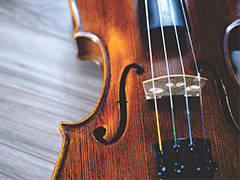 Adult Group Violin Lessons