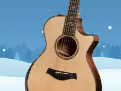 Dont Forget to Give Your Guitar Some Humidity Help this Winter!