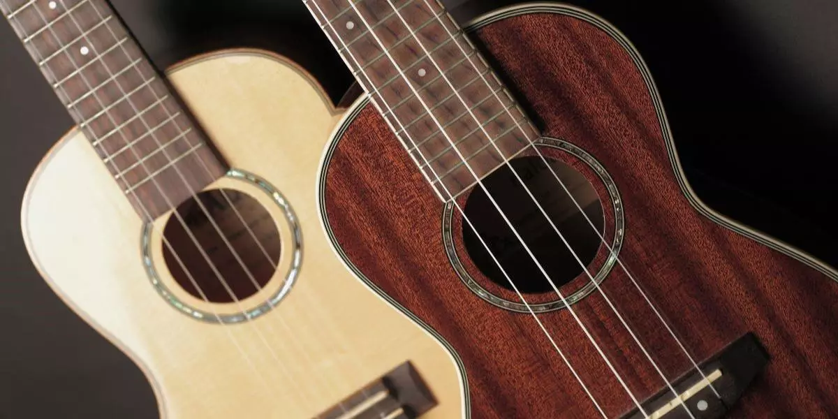 4 Tips to Take Care of Your Ukulele Image