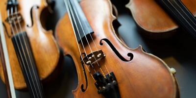 Guide to Understanding Orchestral Strings Guide to Understanding Orchestral Strings Image