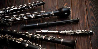 The Woodwind Family of Instruments: Explained Image