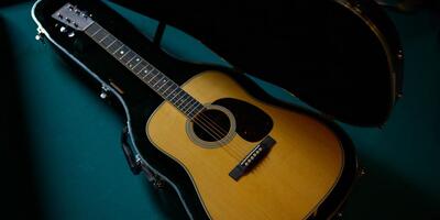 Essential Guitar Accessories Image